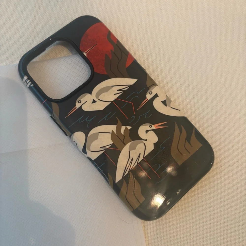 IPHONE 16 PRO Case! Beautiful! Bohemian! Birds! NEW!